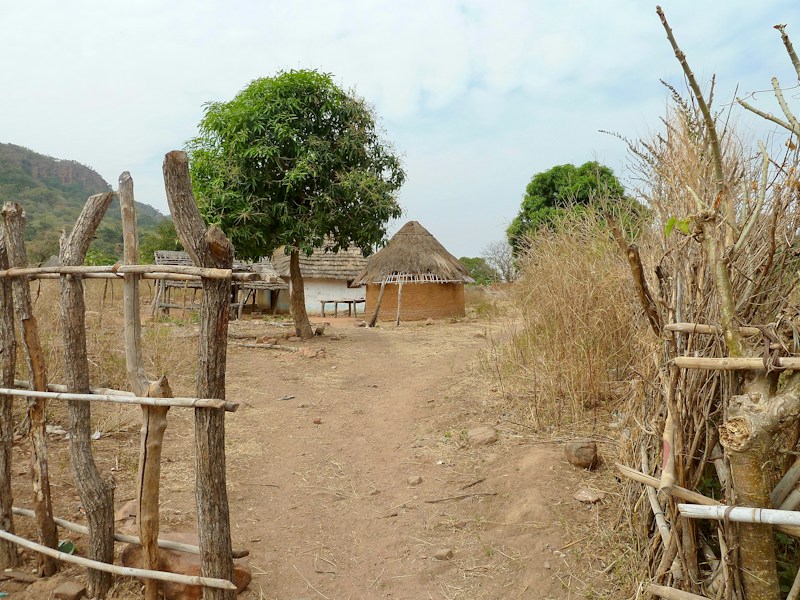 The Bantu Migration: How a Language Spread Across Africa
