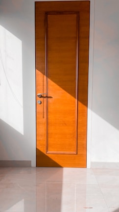 Interior wooden door with contemporary design in a bright room.