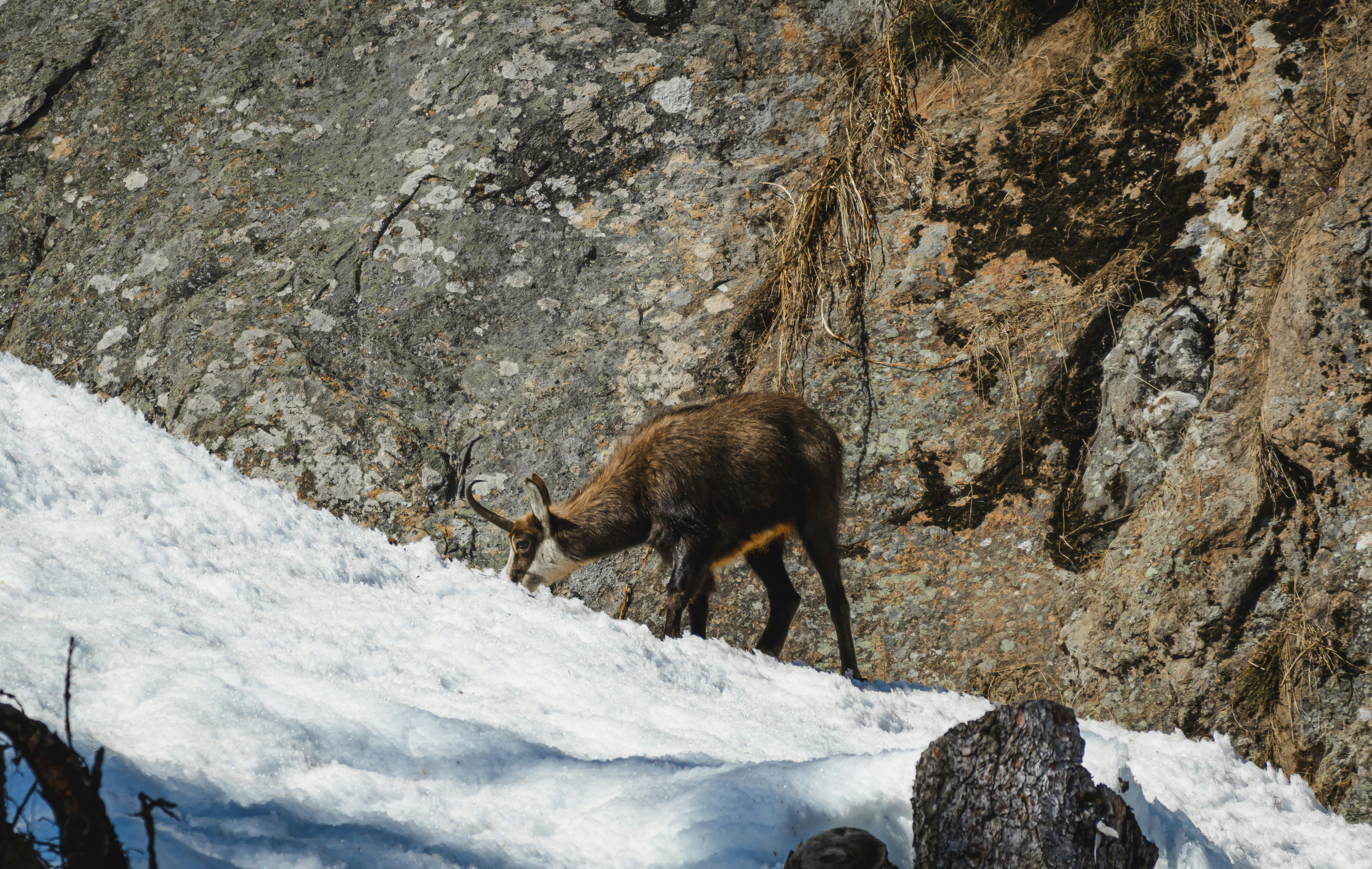 Photo by marco_pregnolato