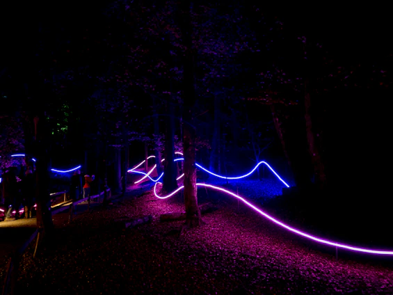 A misty forest at night illuminated by glowing neon green lights, with shadowy figures lurking among the trees.