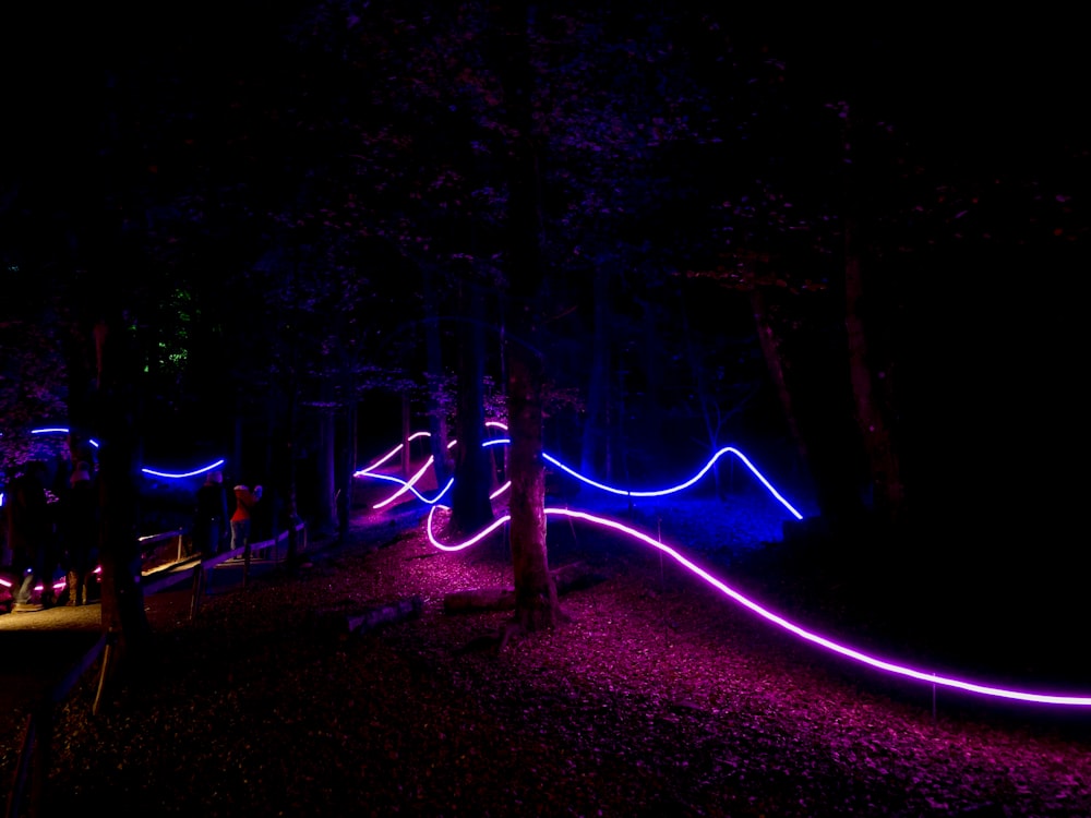 people sitting on bench near trees during night time