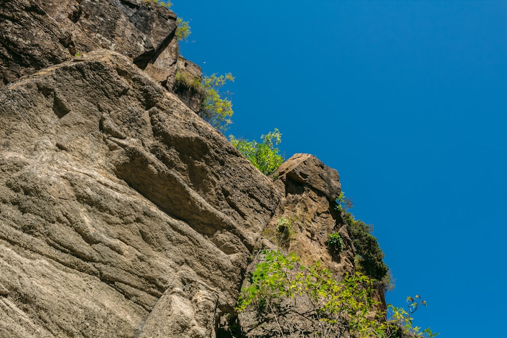 green trees on brown rocky mountain under blue sky during daytime