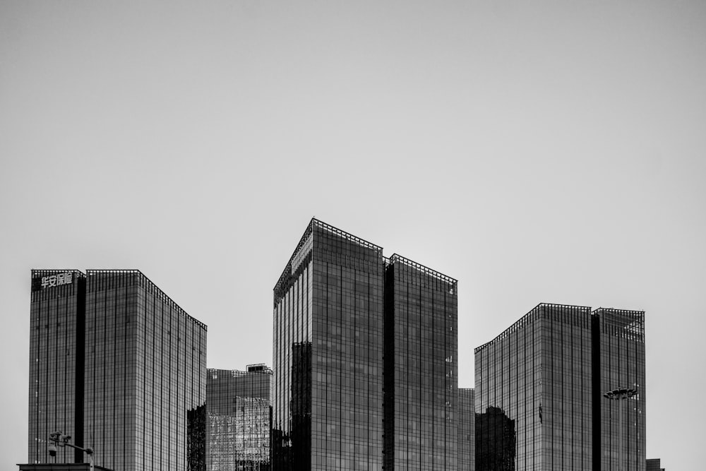 grayscale photo of high rise buildings