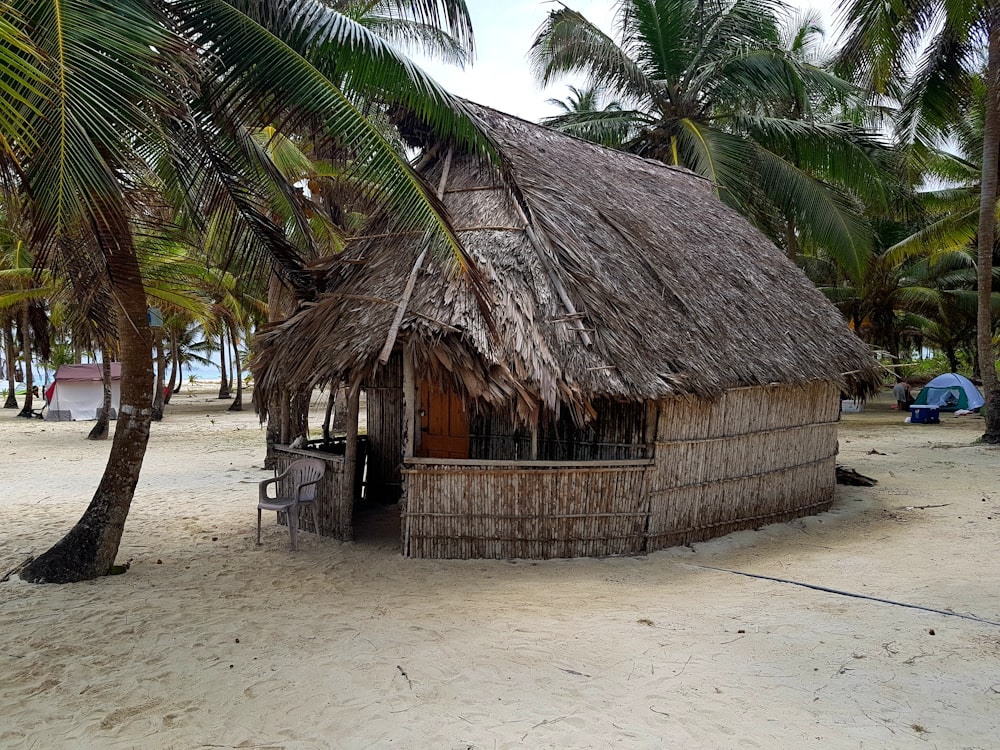 brown nipa hut near palm trees during daytime