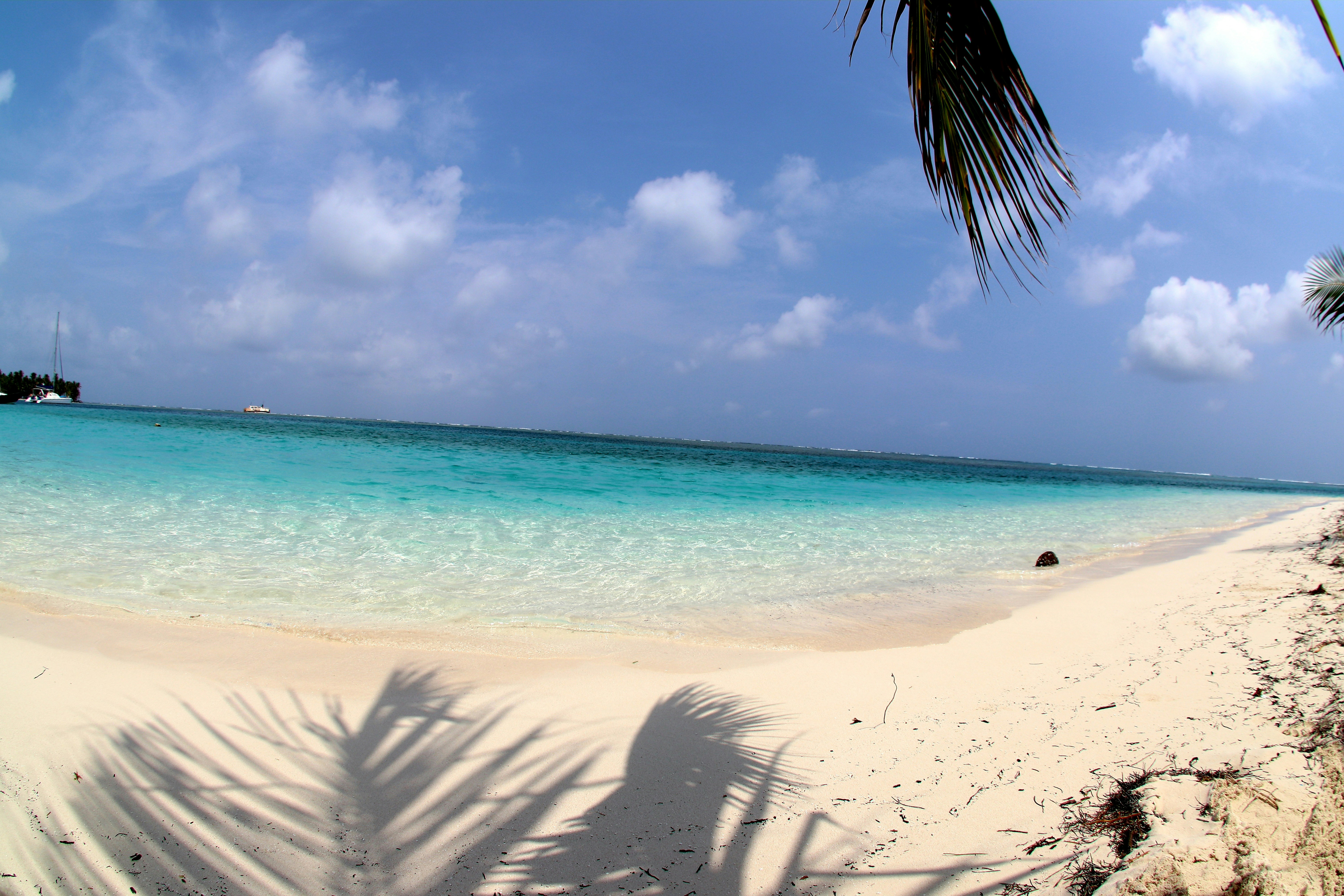 people on beach during daytime, 