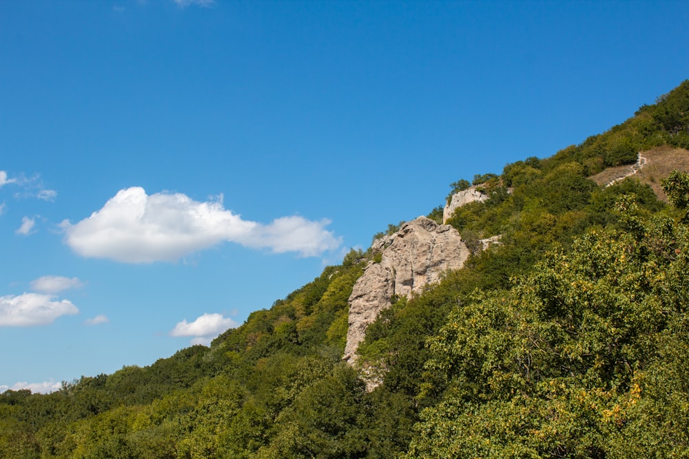 green trees on mountain under blue sky during daytime