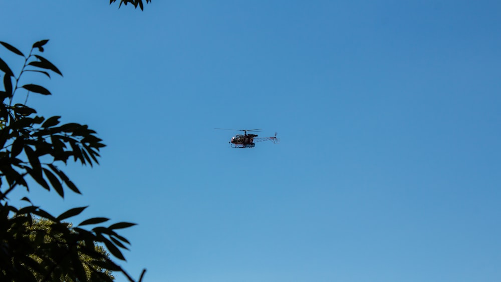 낮 동안 녹색 야자수 위를 비행하는 검은 헬리콥터