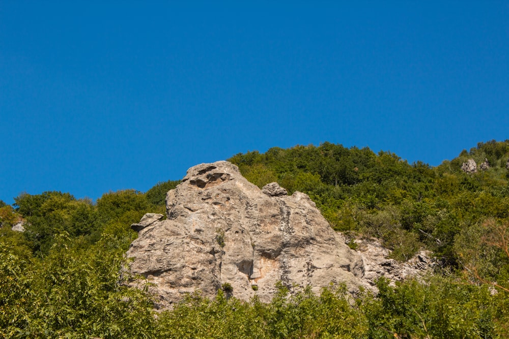 green trees on brown rocky mountain under blue sky during daytime