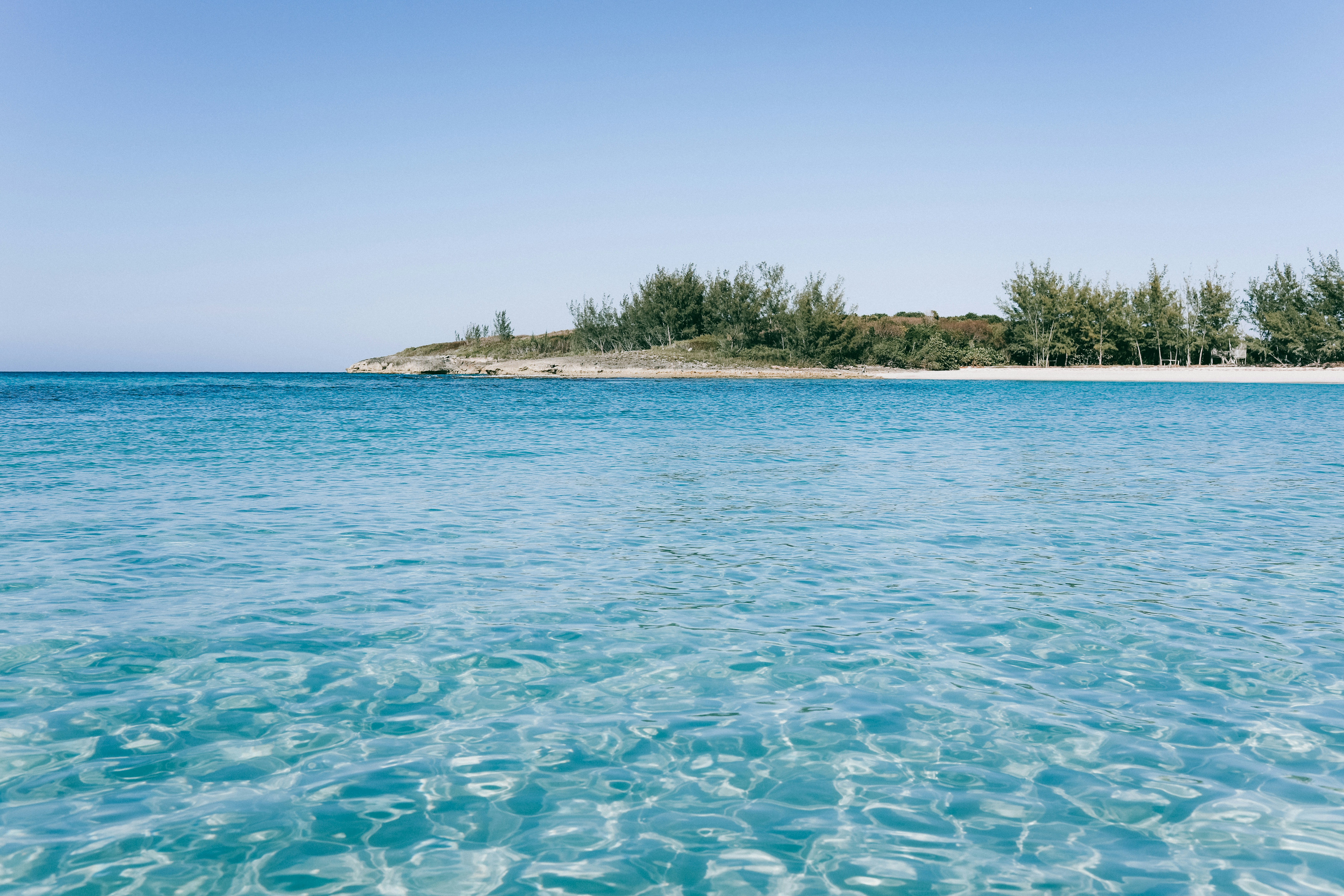 Paddy Power Reload Bonus