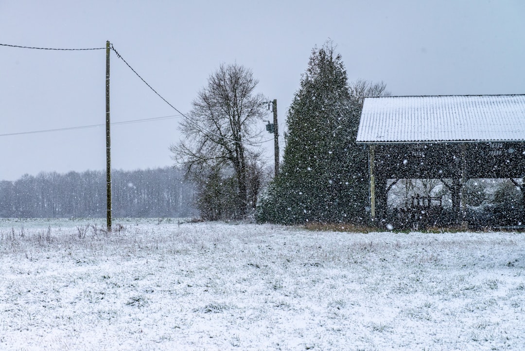 black and white house on snow covered ground