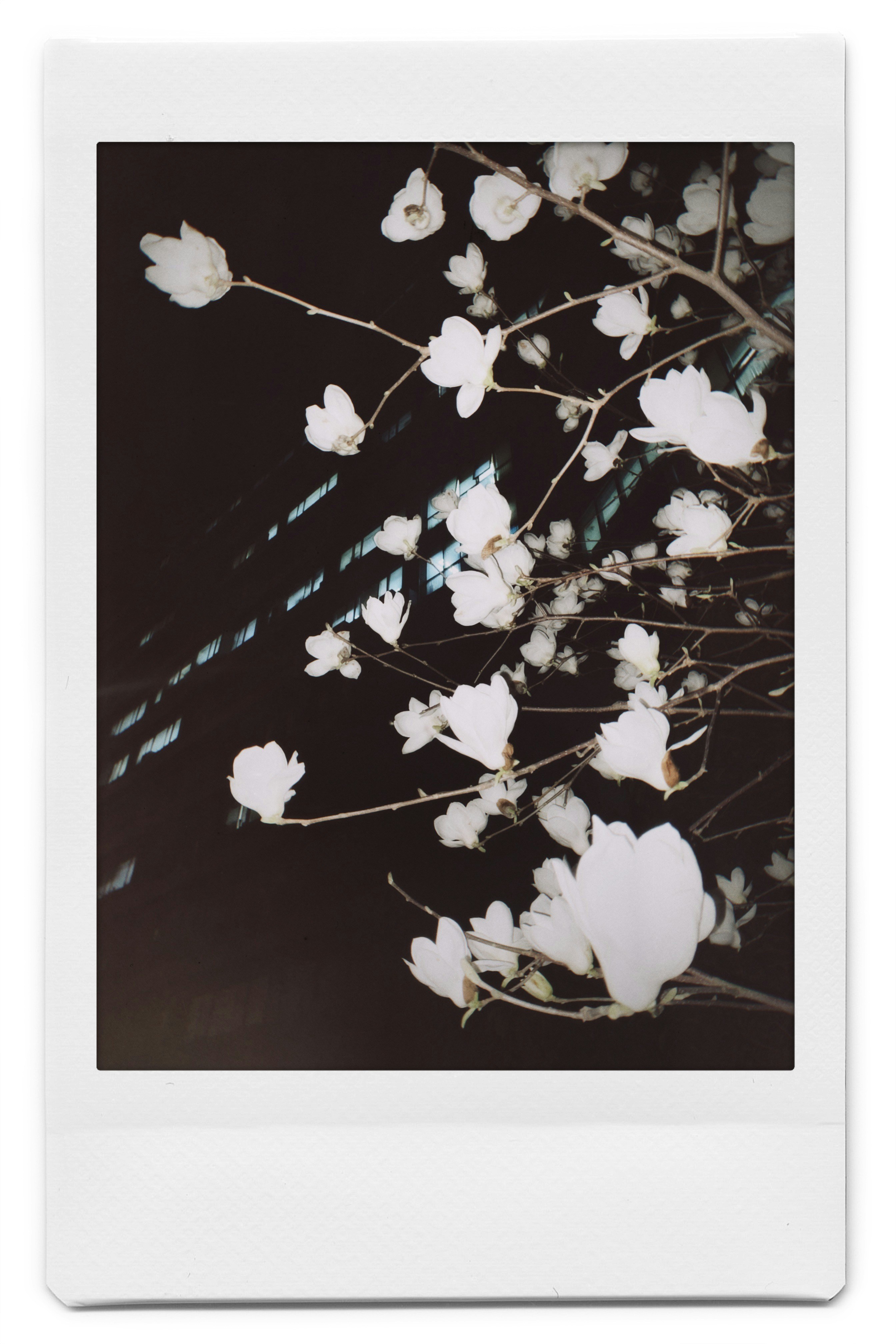 Photo by blsnki