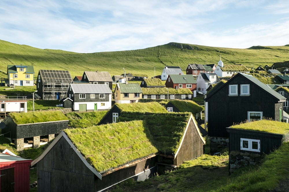 Maisons brunes et blanches sur un champ d’herbe verte pendant la journée