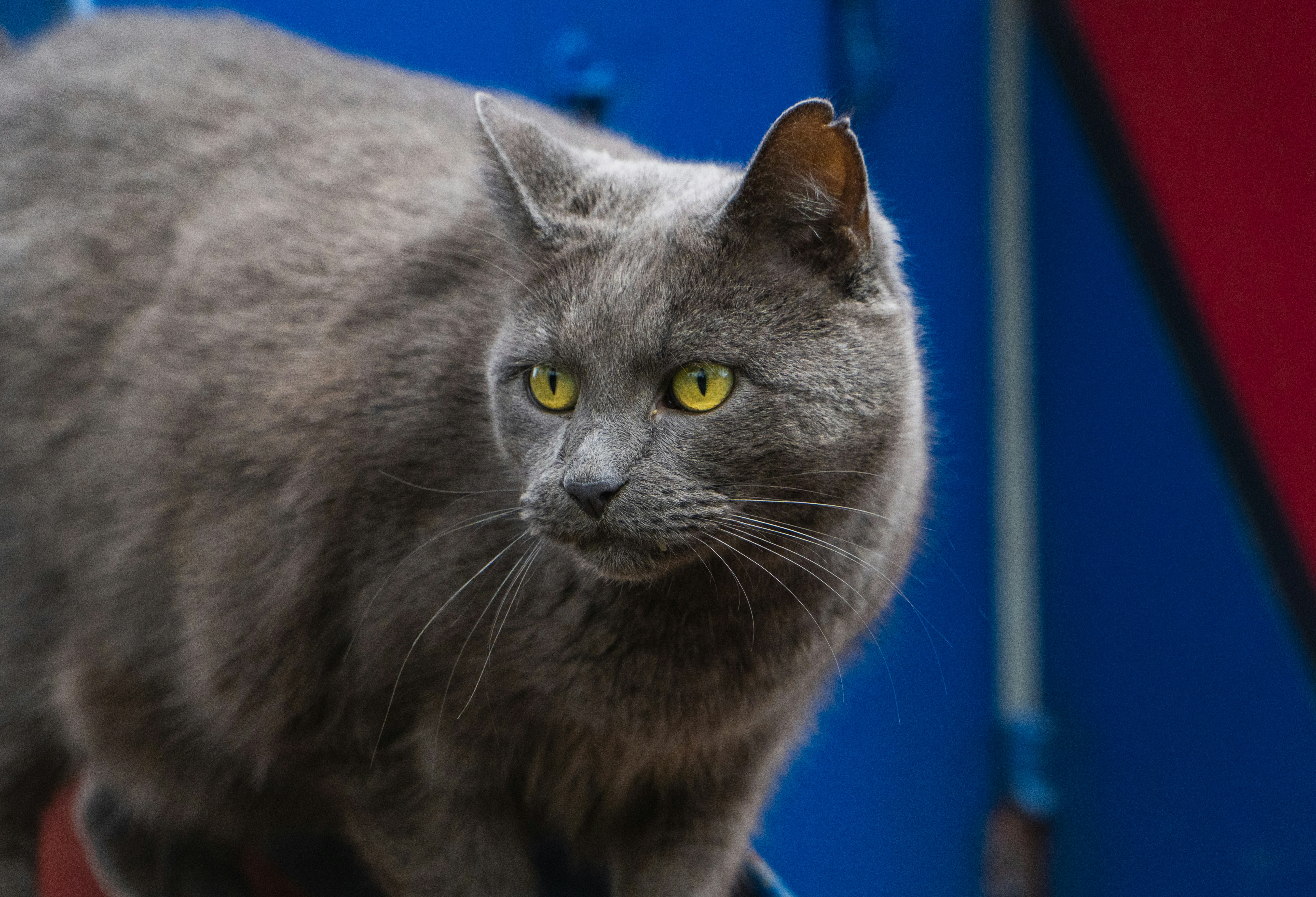 Sideways Glances: Keeping Tabs (image credits: unsplash)