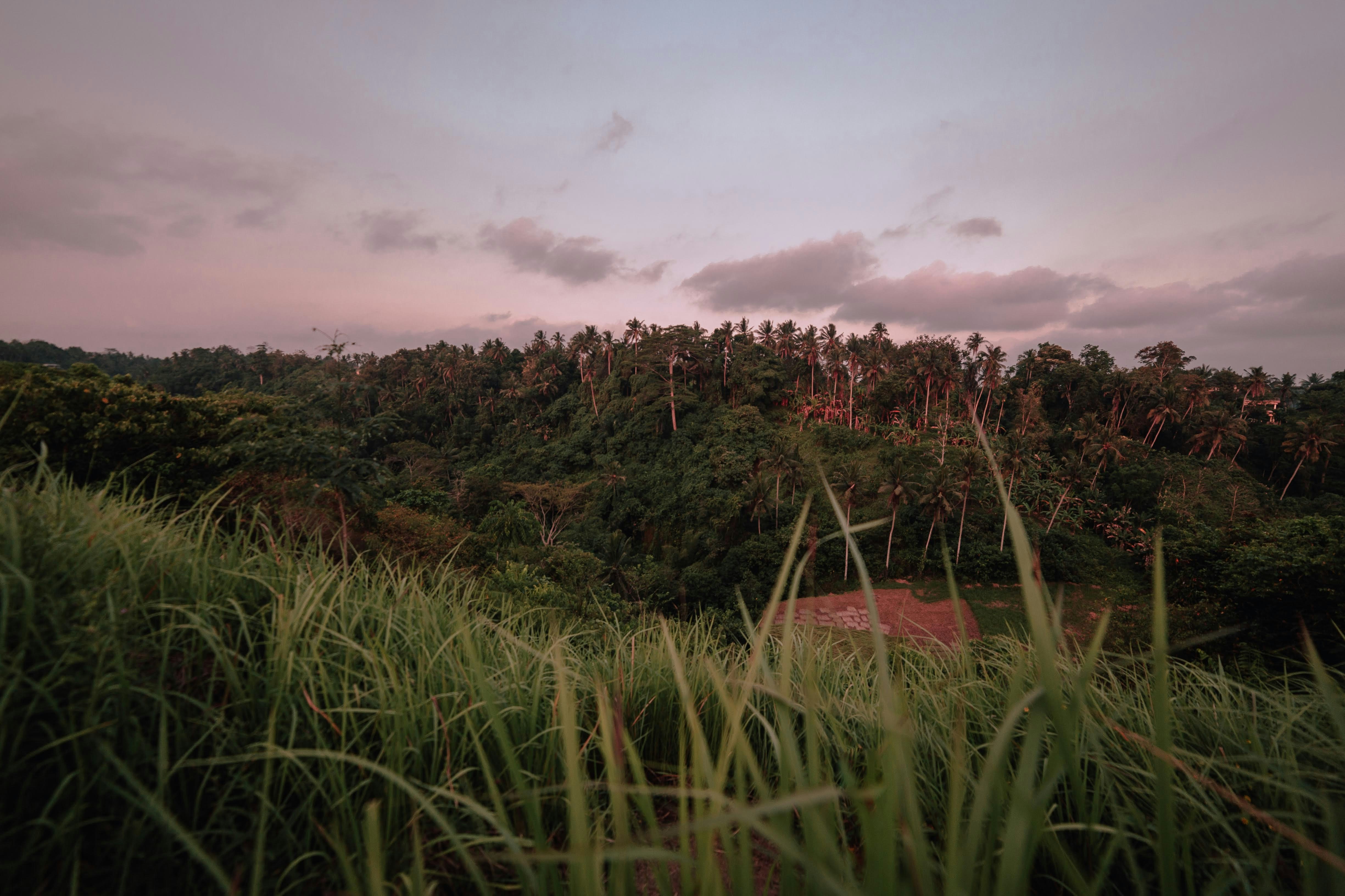 Photo by animgraphlab