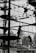 Silhouetted figures are navigating a complex ropes course high above the ground, set against an urban backdrop with buildings and trees faintly visible. The scene is dynamic and captures a sense of movement and challenge as the participants engage with various obstacles.