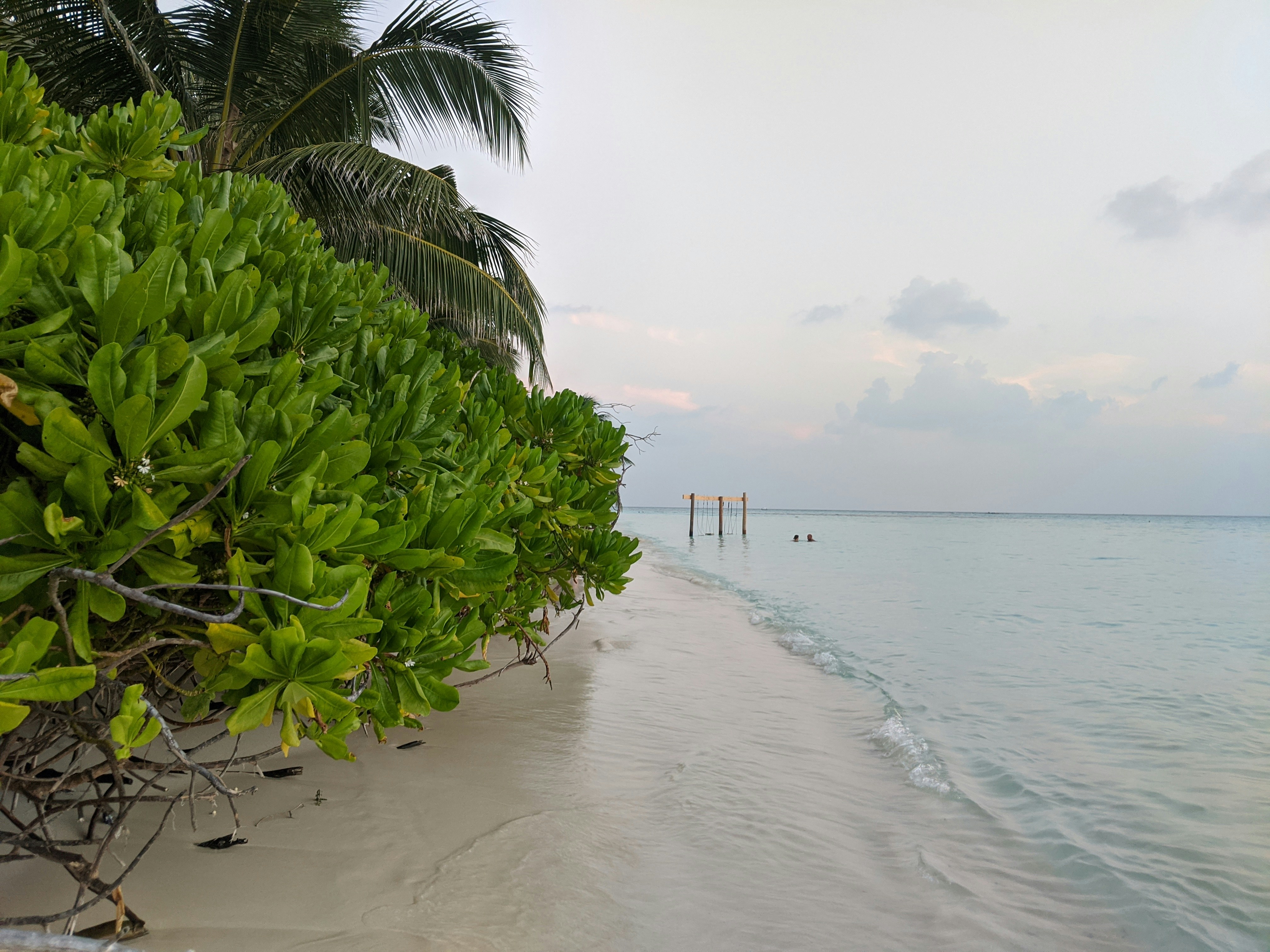 Photo by animgraphlab