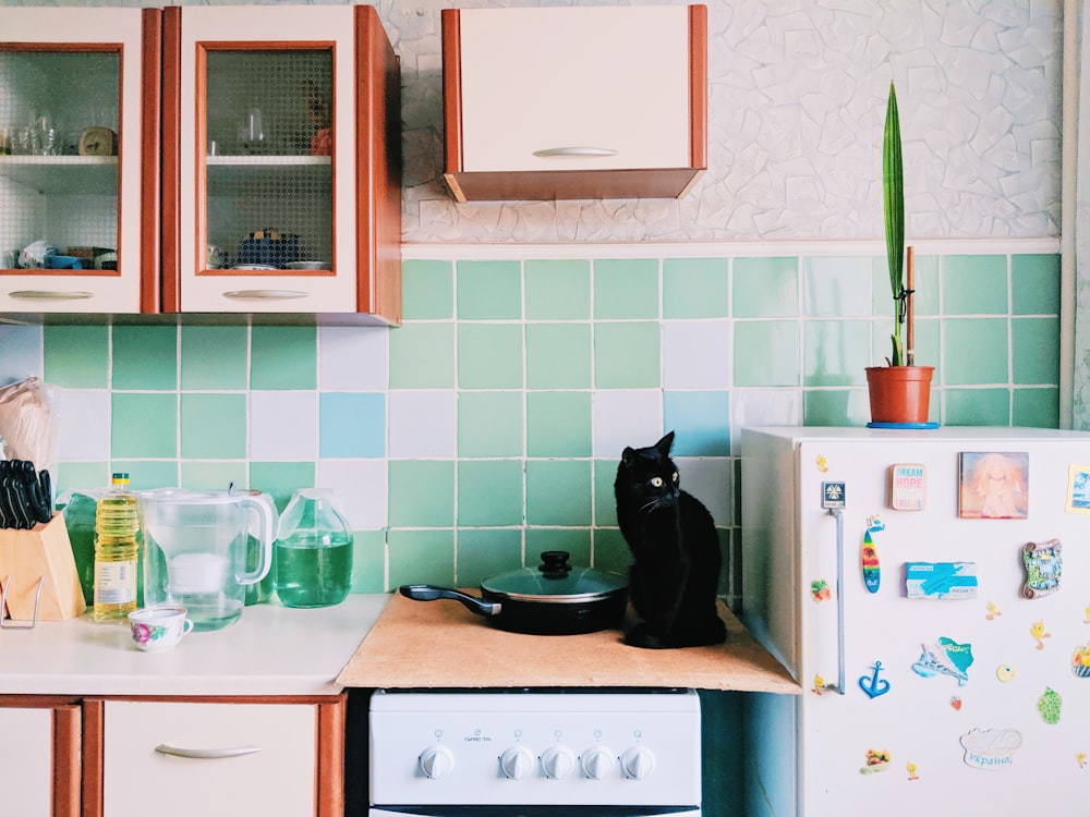 white microwave oven on white top mount refrigerator