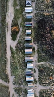 A row of completed sheds lined up, showcasing different styles and sizes.