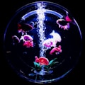 A circular aquarium contains several colorful fish swimming around plants under bright illumination. Bubbles rise towards the top, creating a captivating aquatic scene.