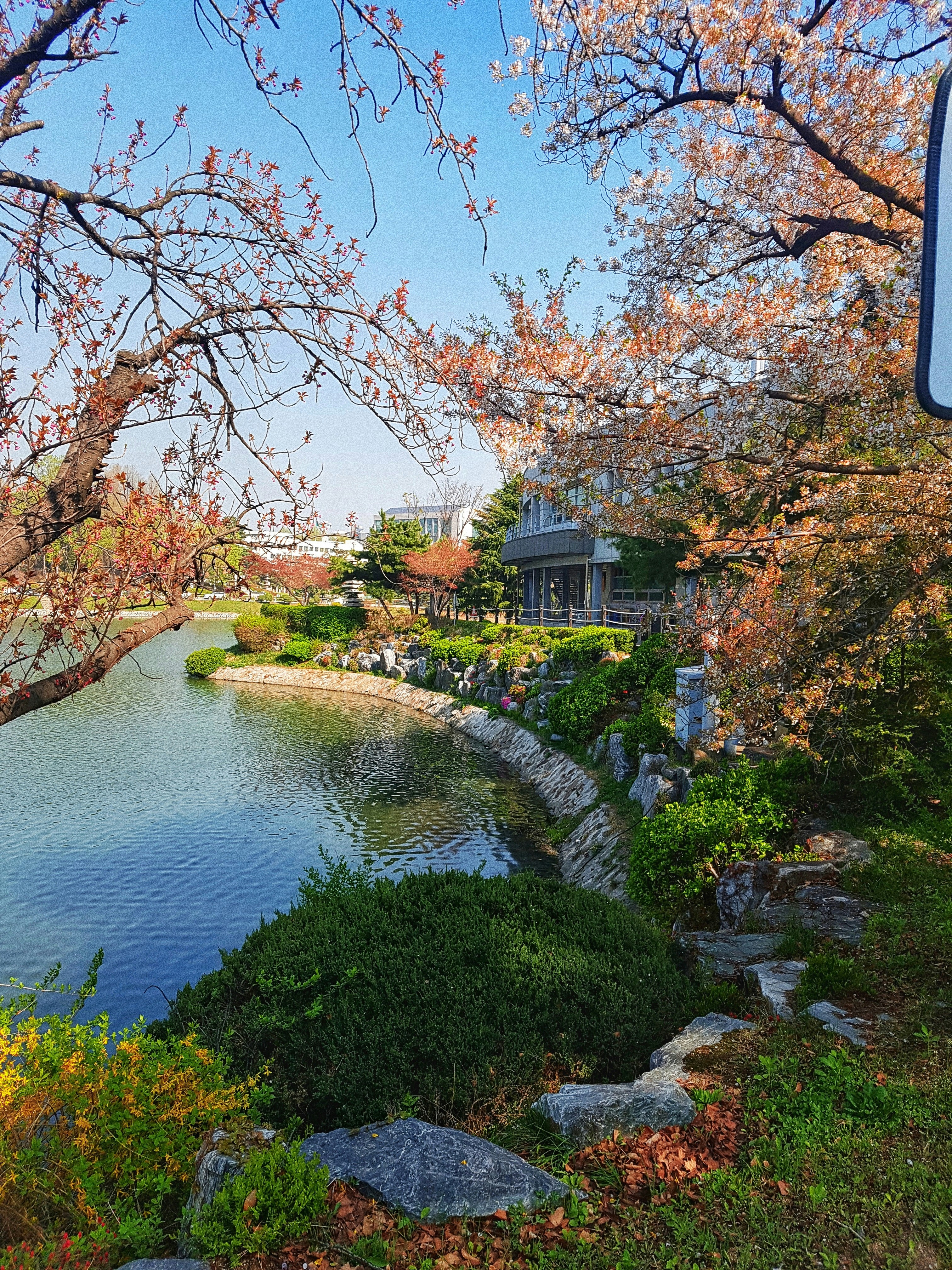 Những câu hỏi thường gặp khi phỏng vấn đại học Konkuk