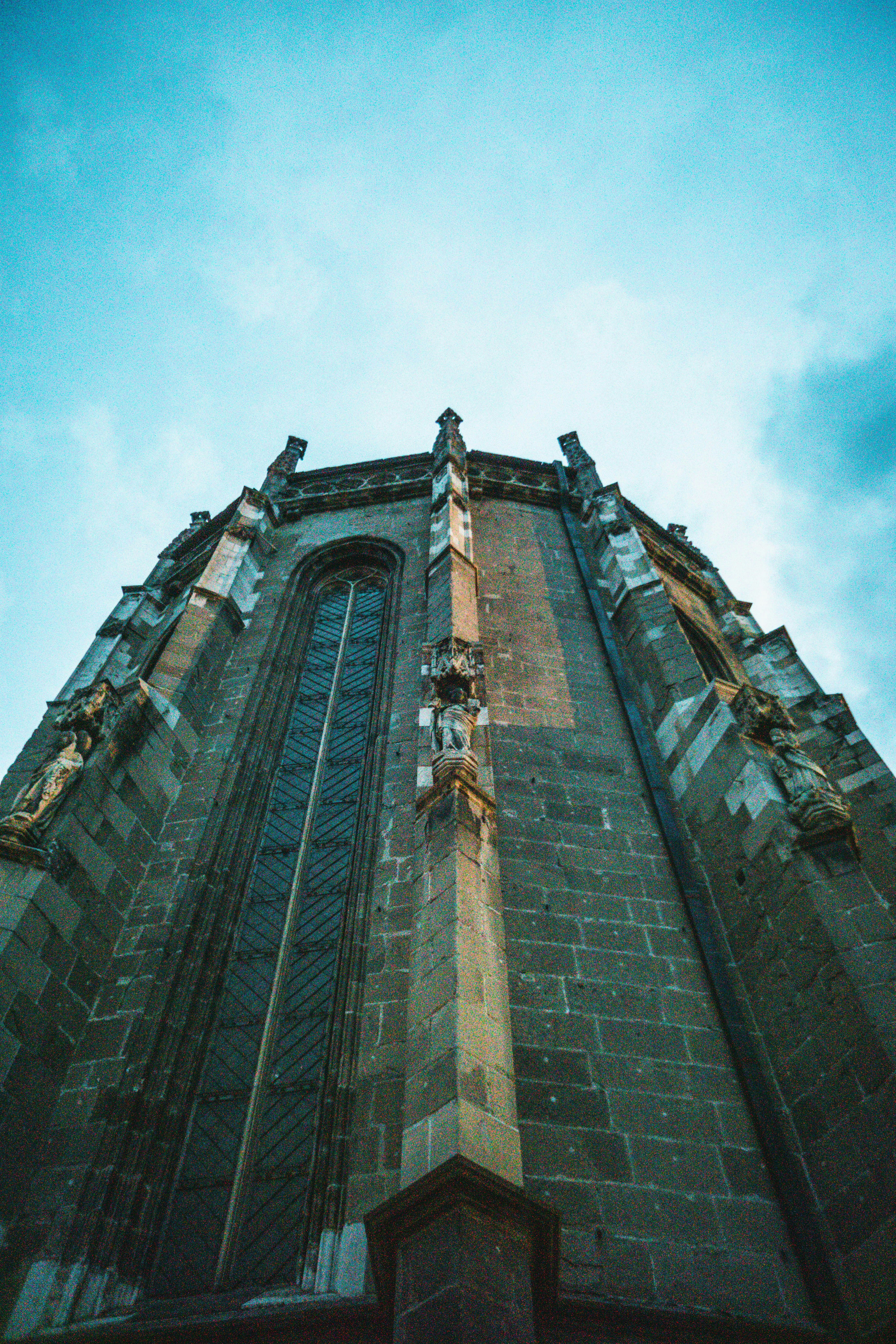 Photo by cristian_vieriu