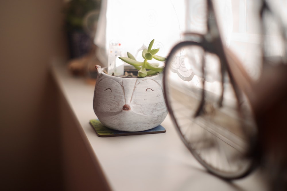 green plant in white pot on white table