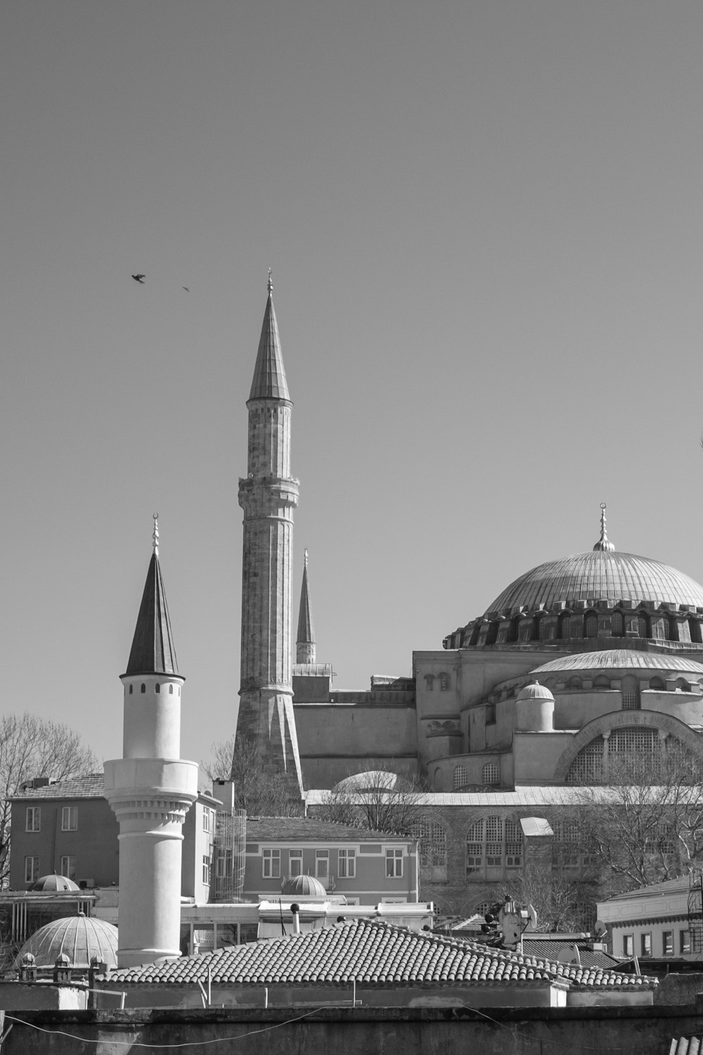 grayscale photo of dome building