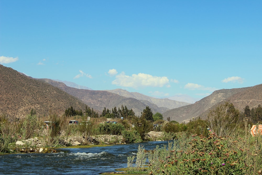 green trees near lake and mountains during daytime