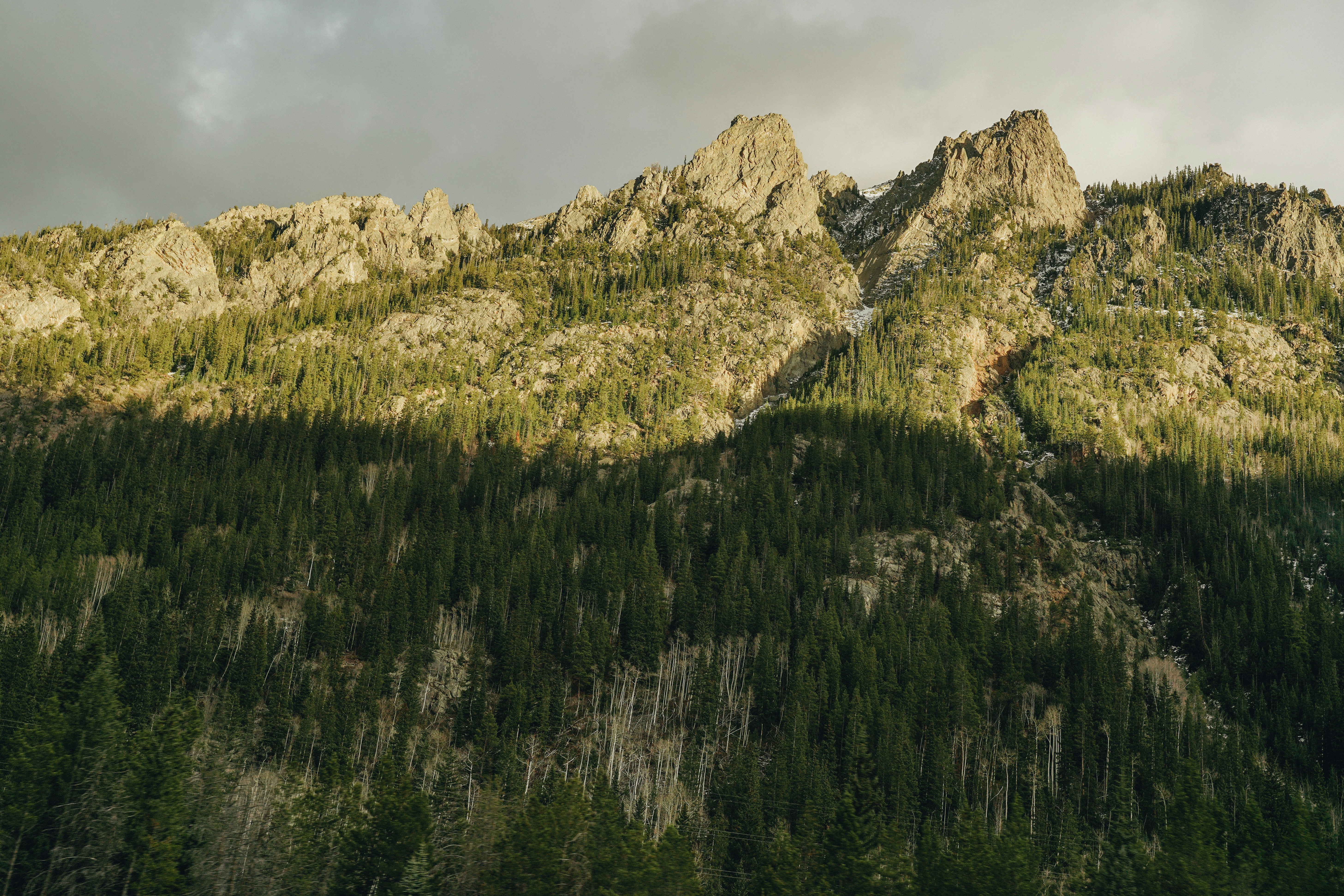 Photo by moriahaslan