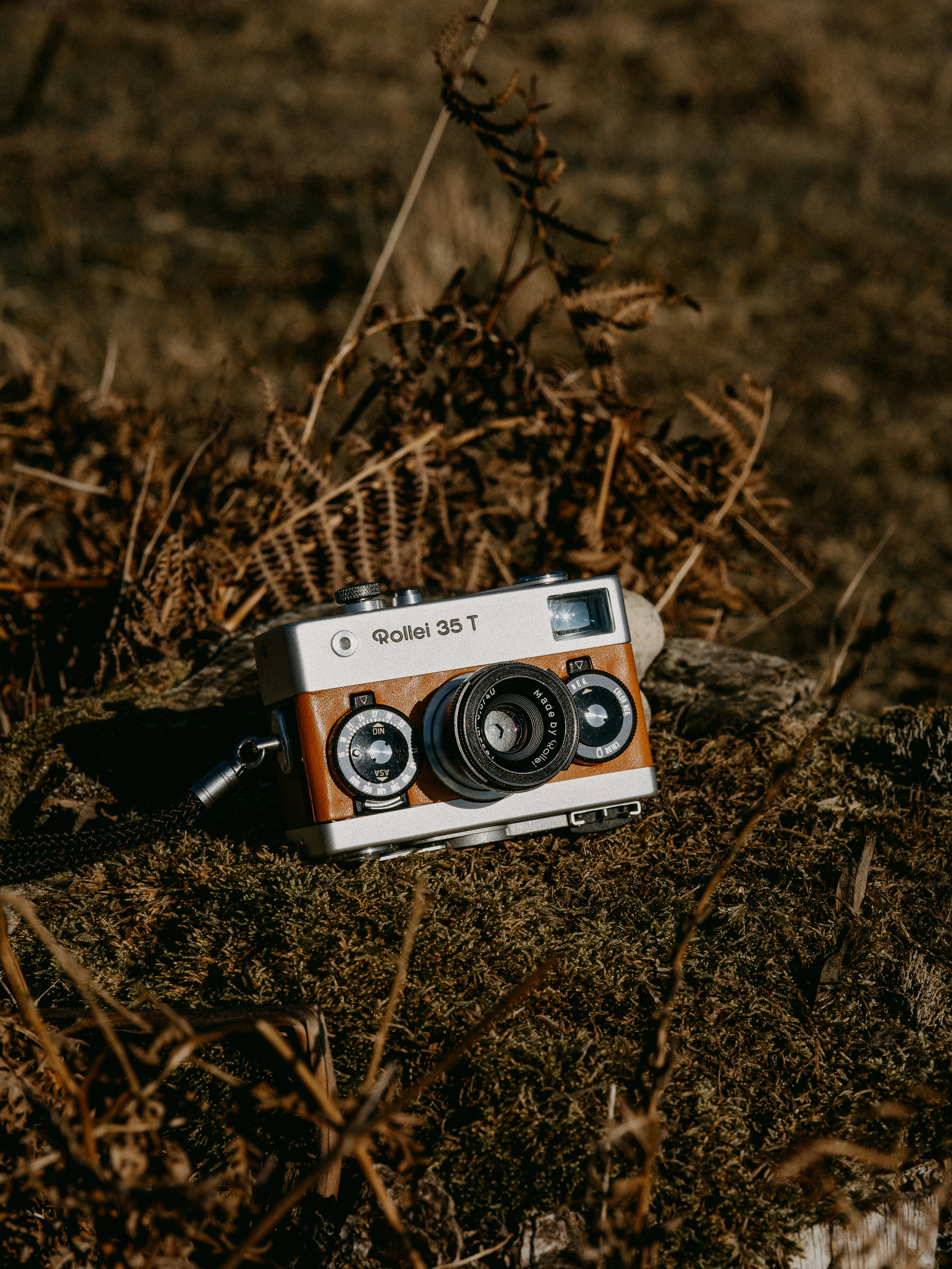 Photo by anniespratt