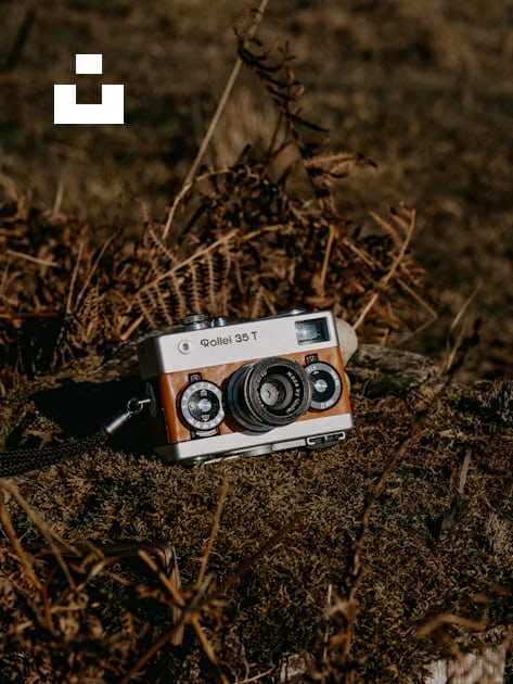 black and silver camera on brown dried leaves photo – Free Rollei 35 Image  on Unsplash
