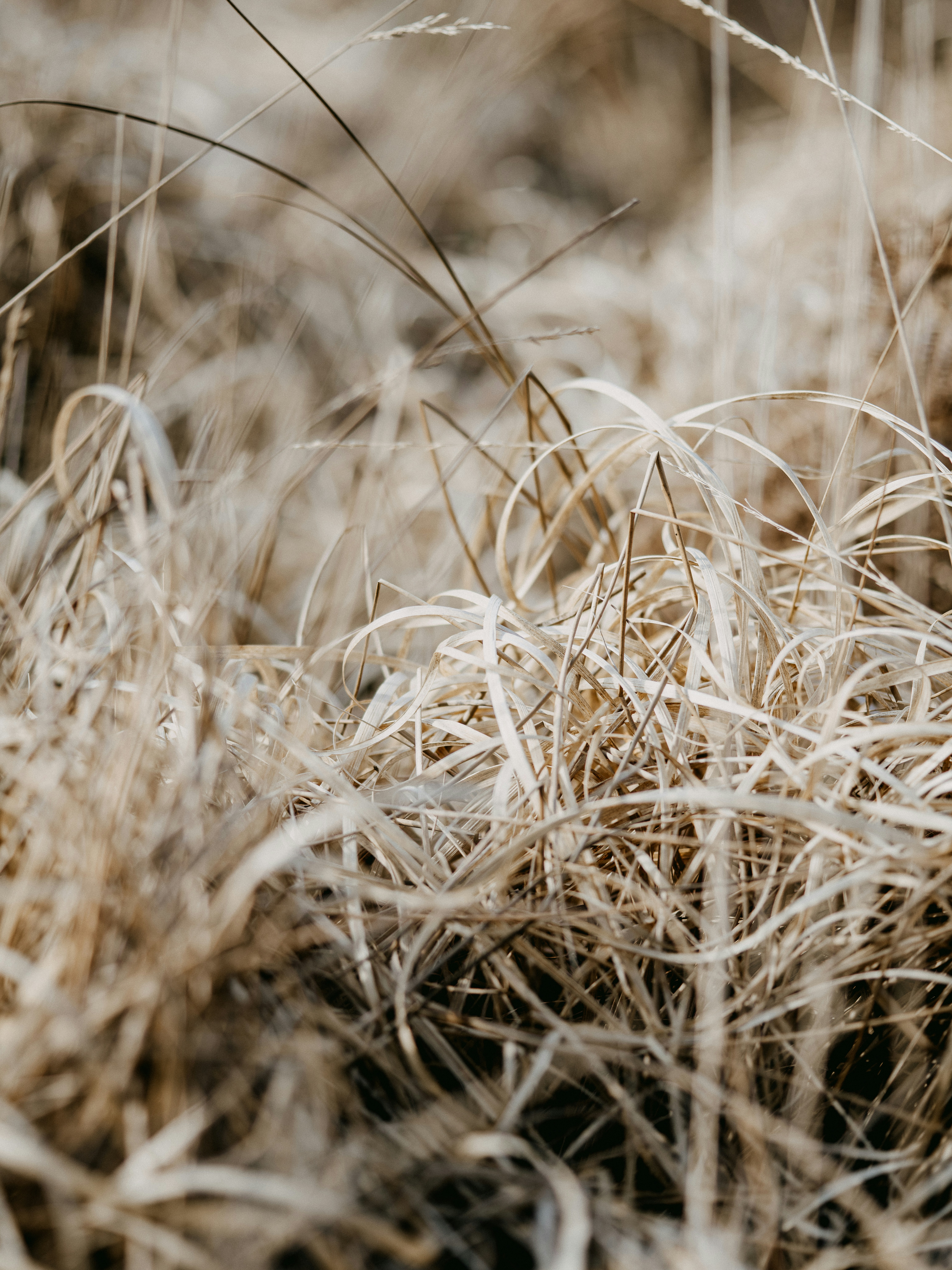 Photo by anniespratt