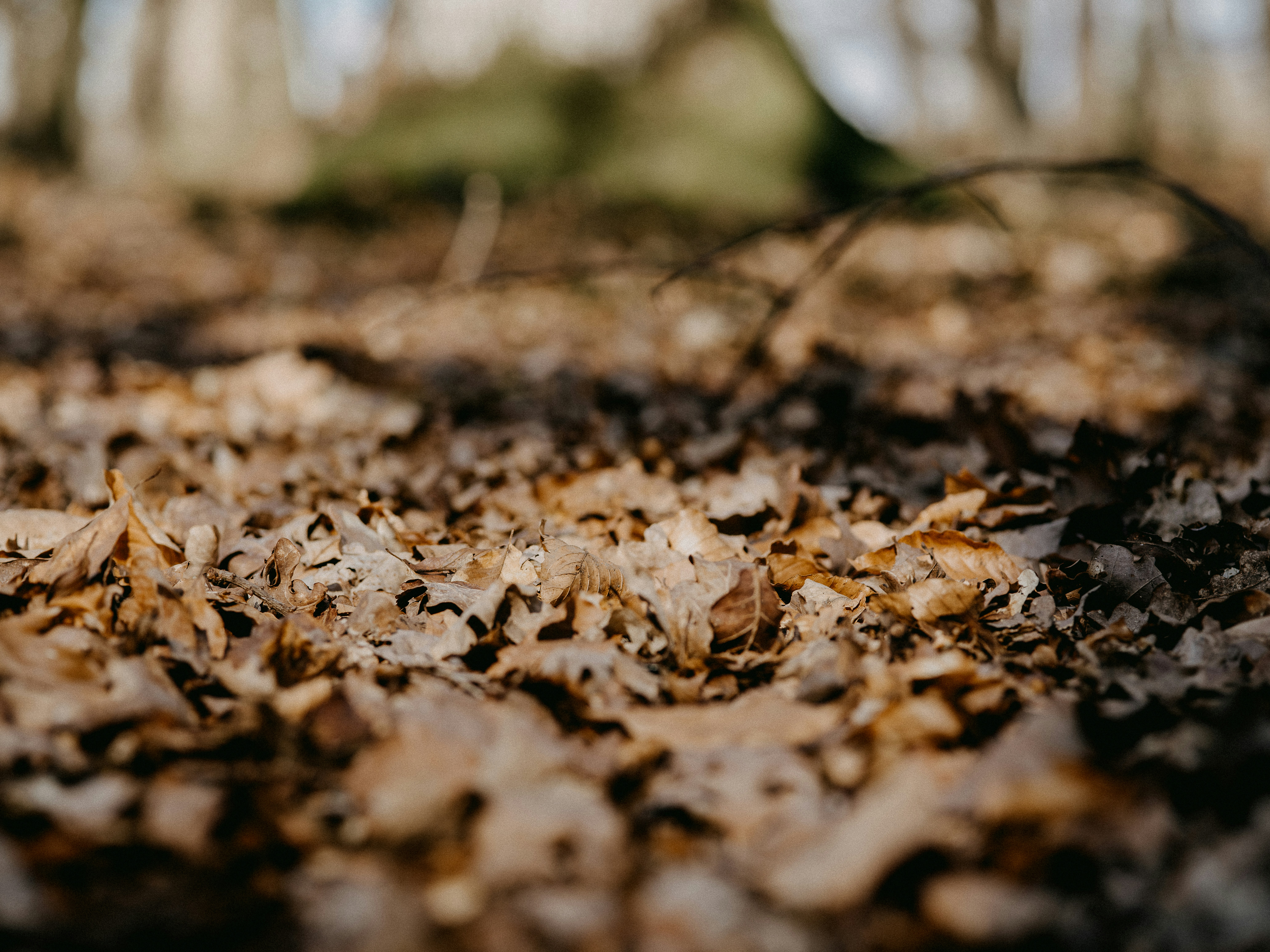 Photo by anniespratt