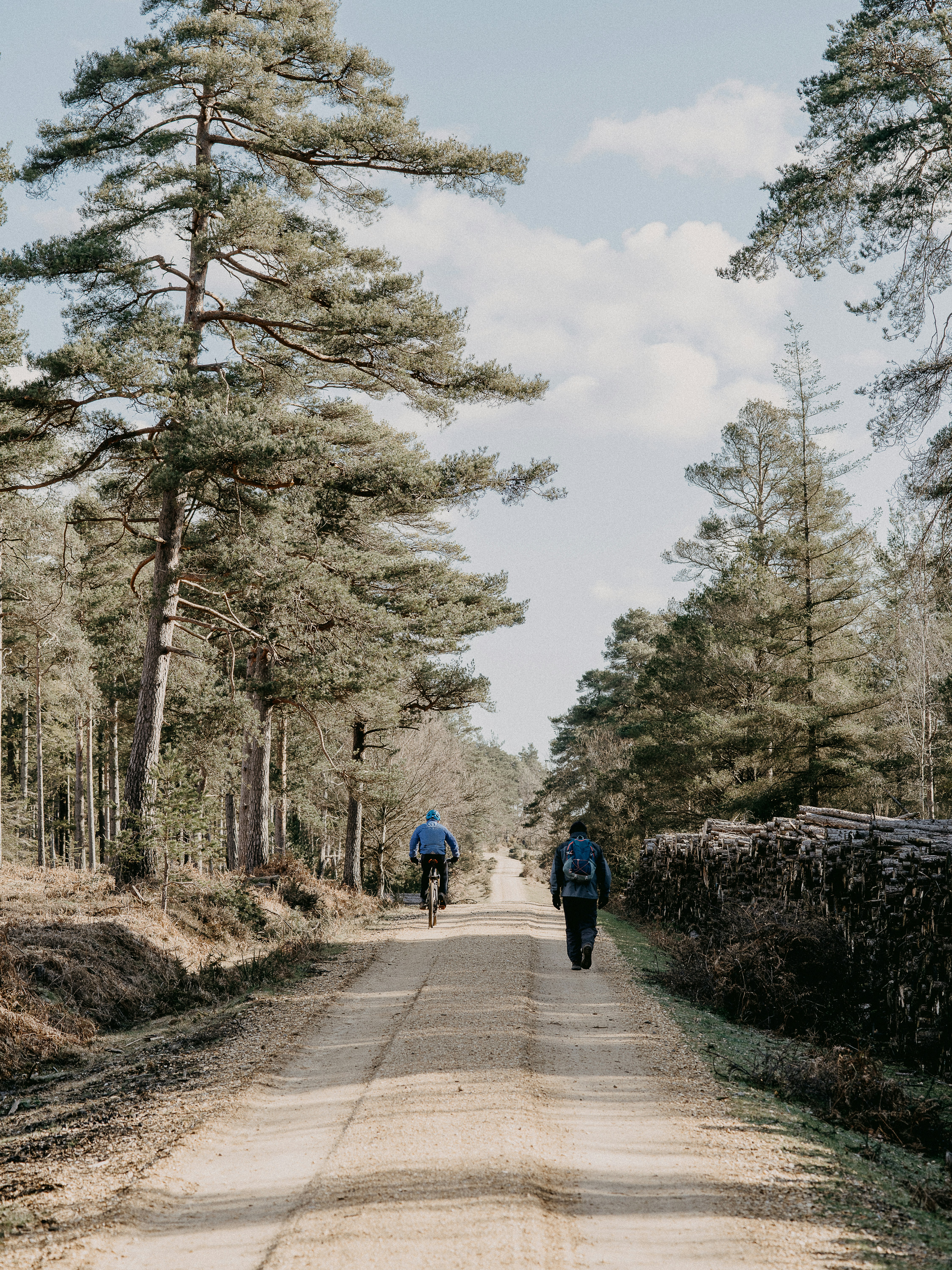 Photo by anniespratt