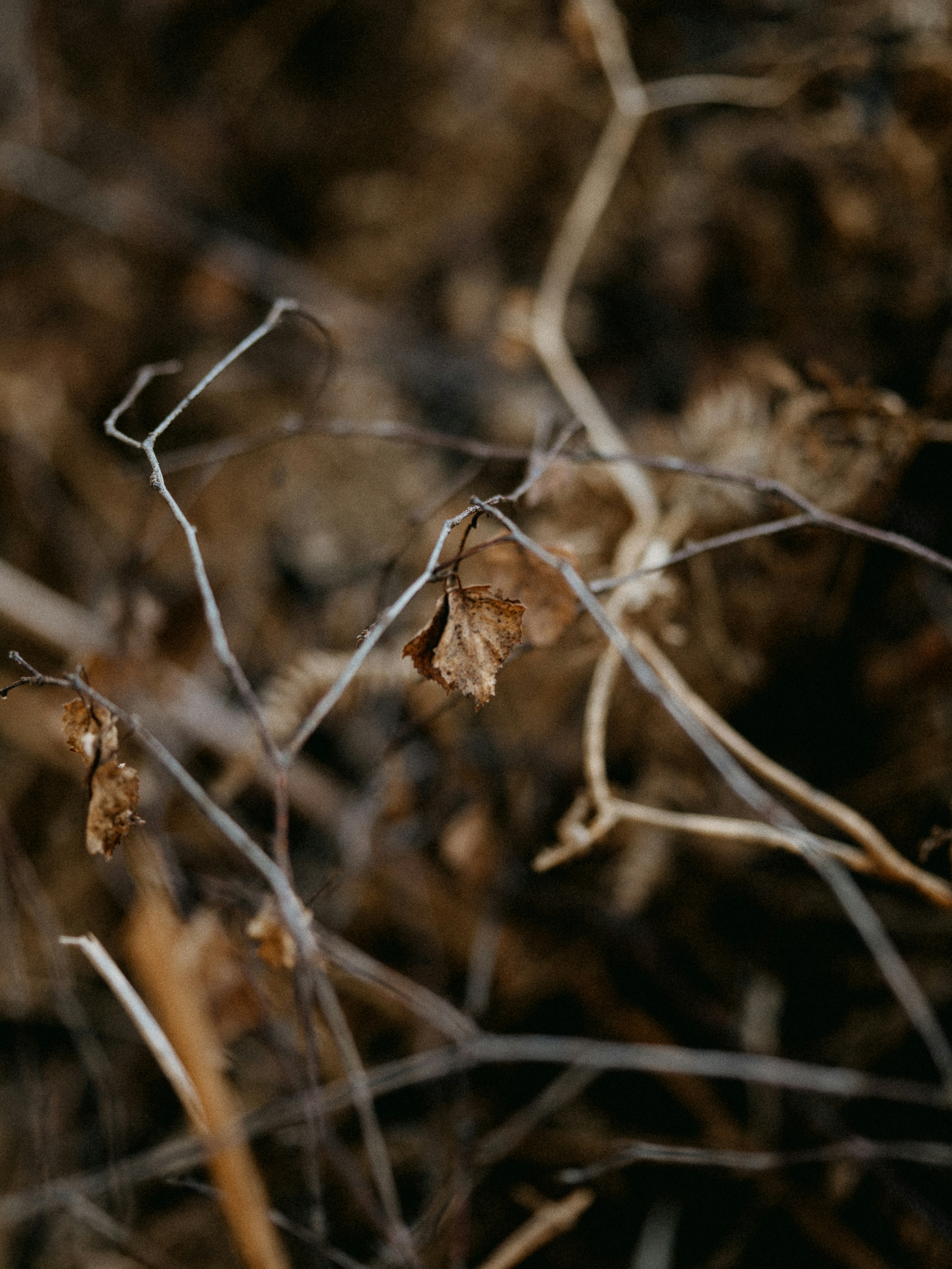 Photo by anniespratt