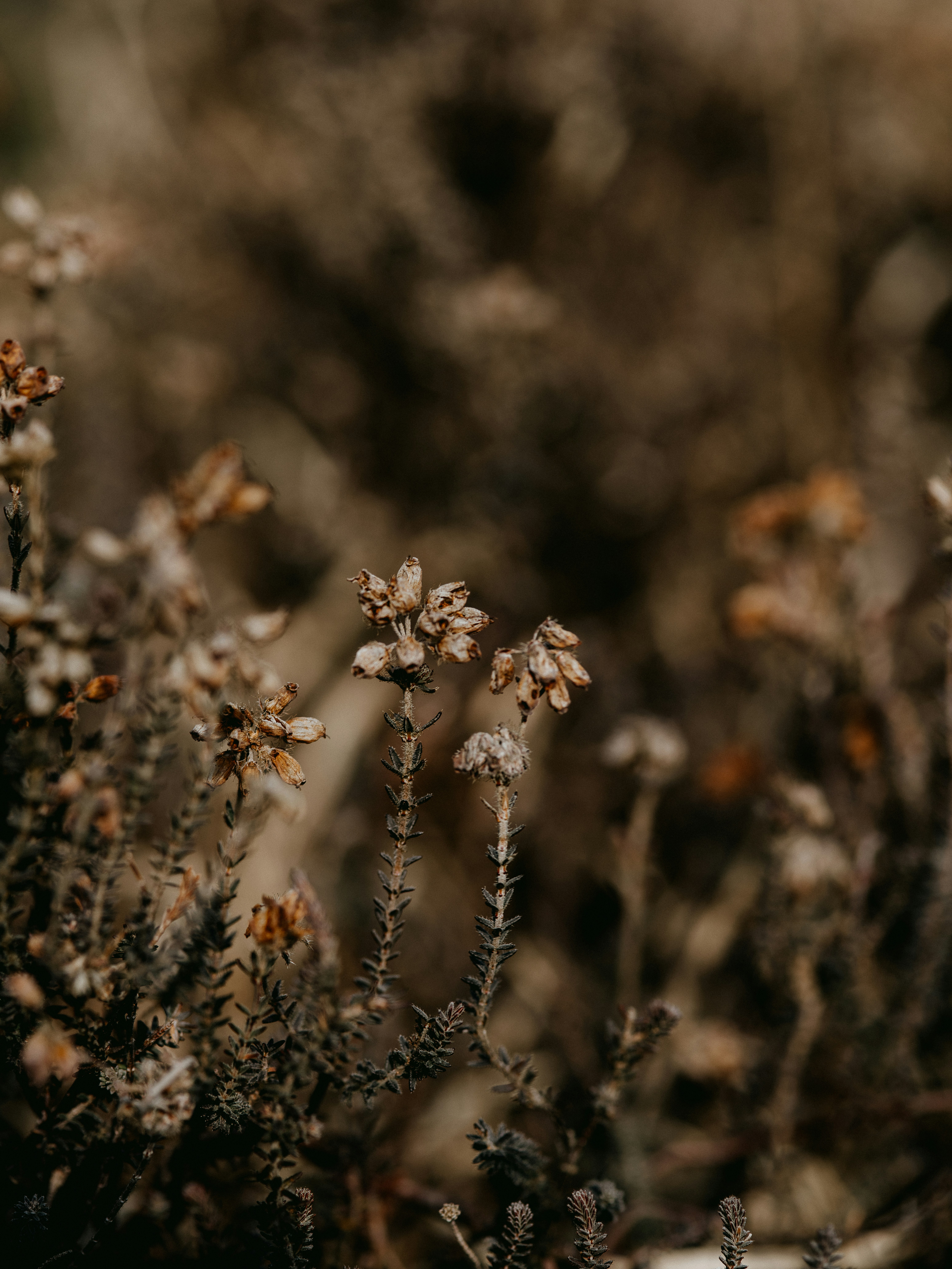 Photo by anniespratt