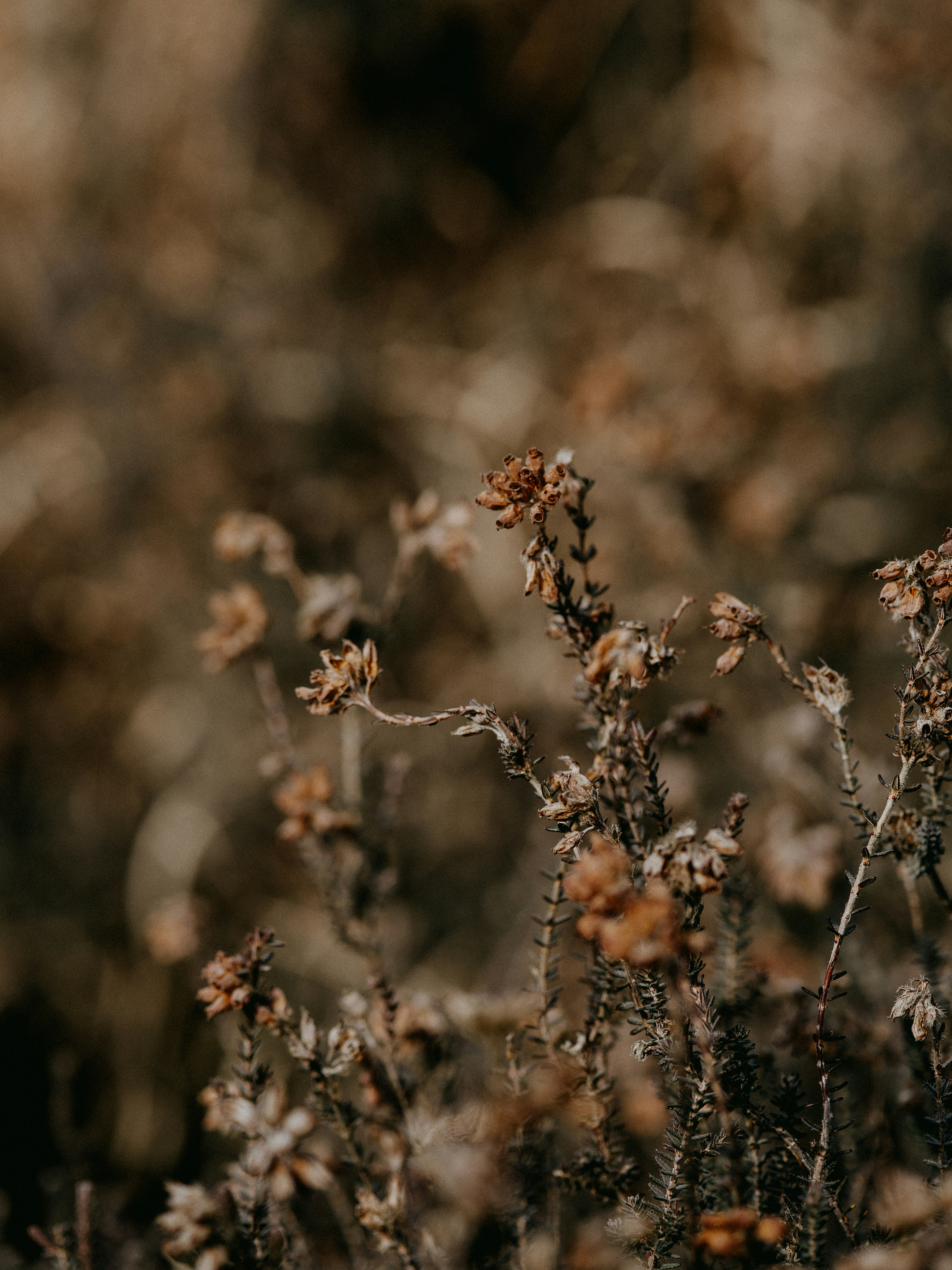 Photo by anniespratt