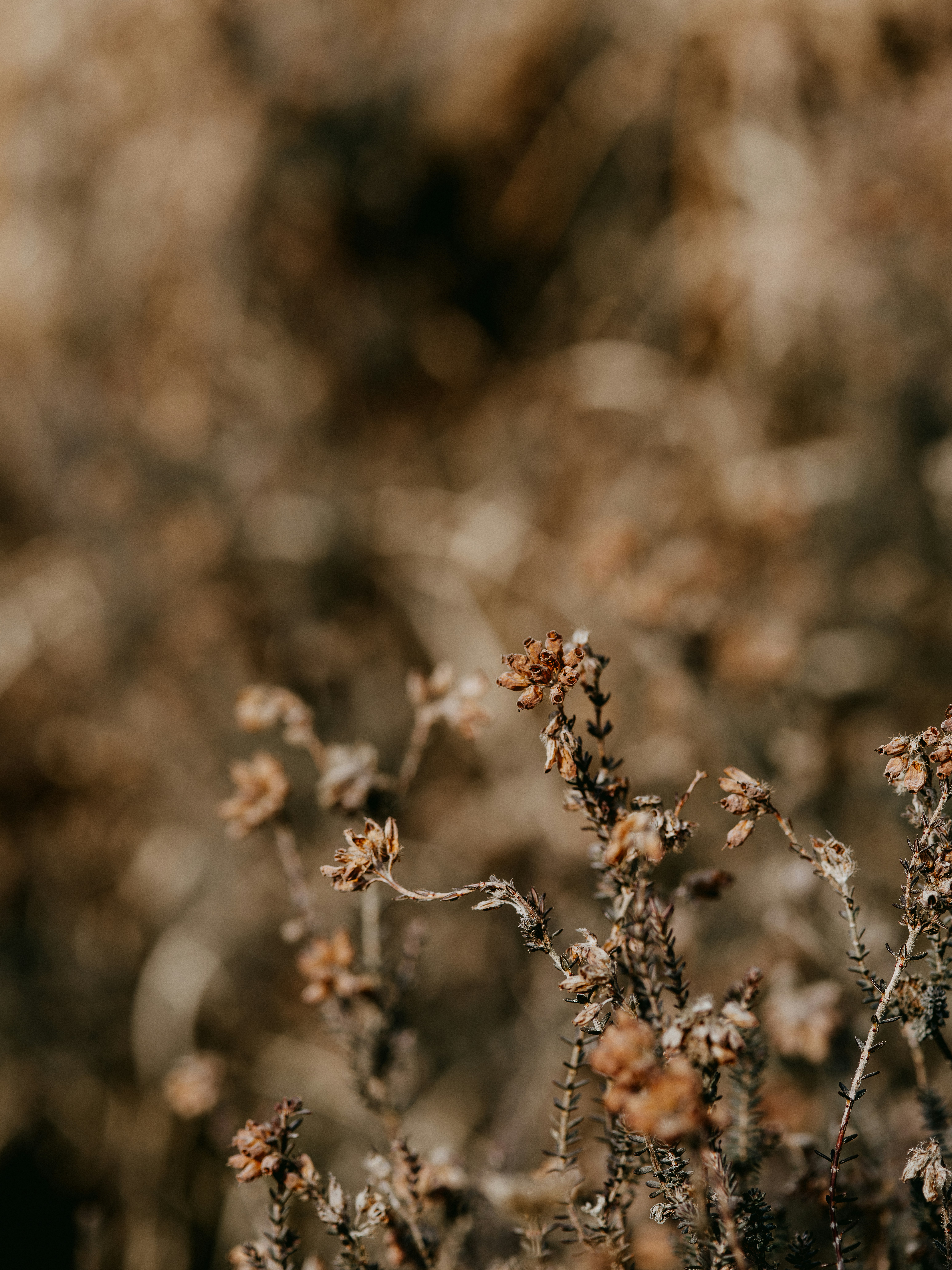 Photo by anniespratt