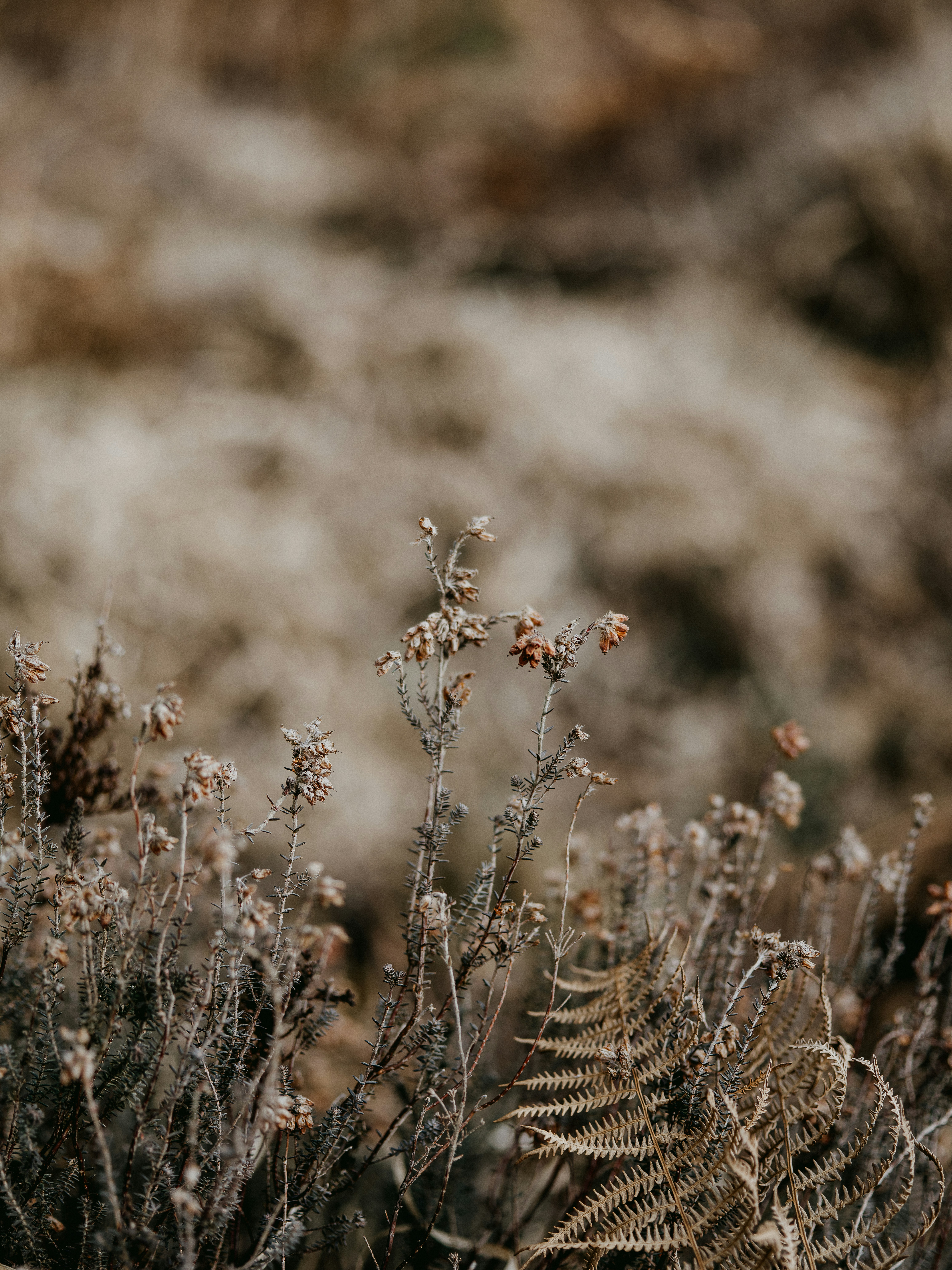 Photo by anniespratt