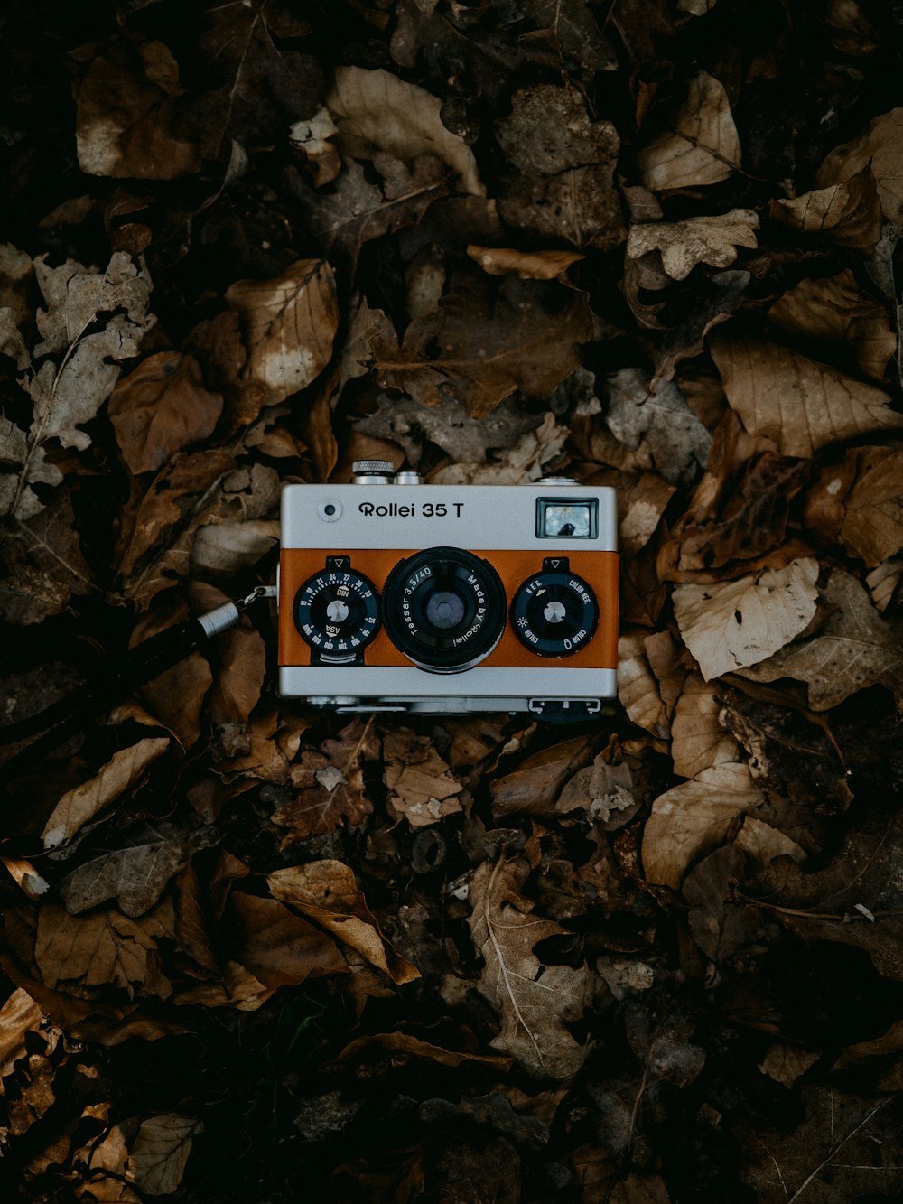 white and black camera on brown leaves