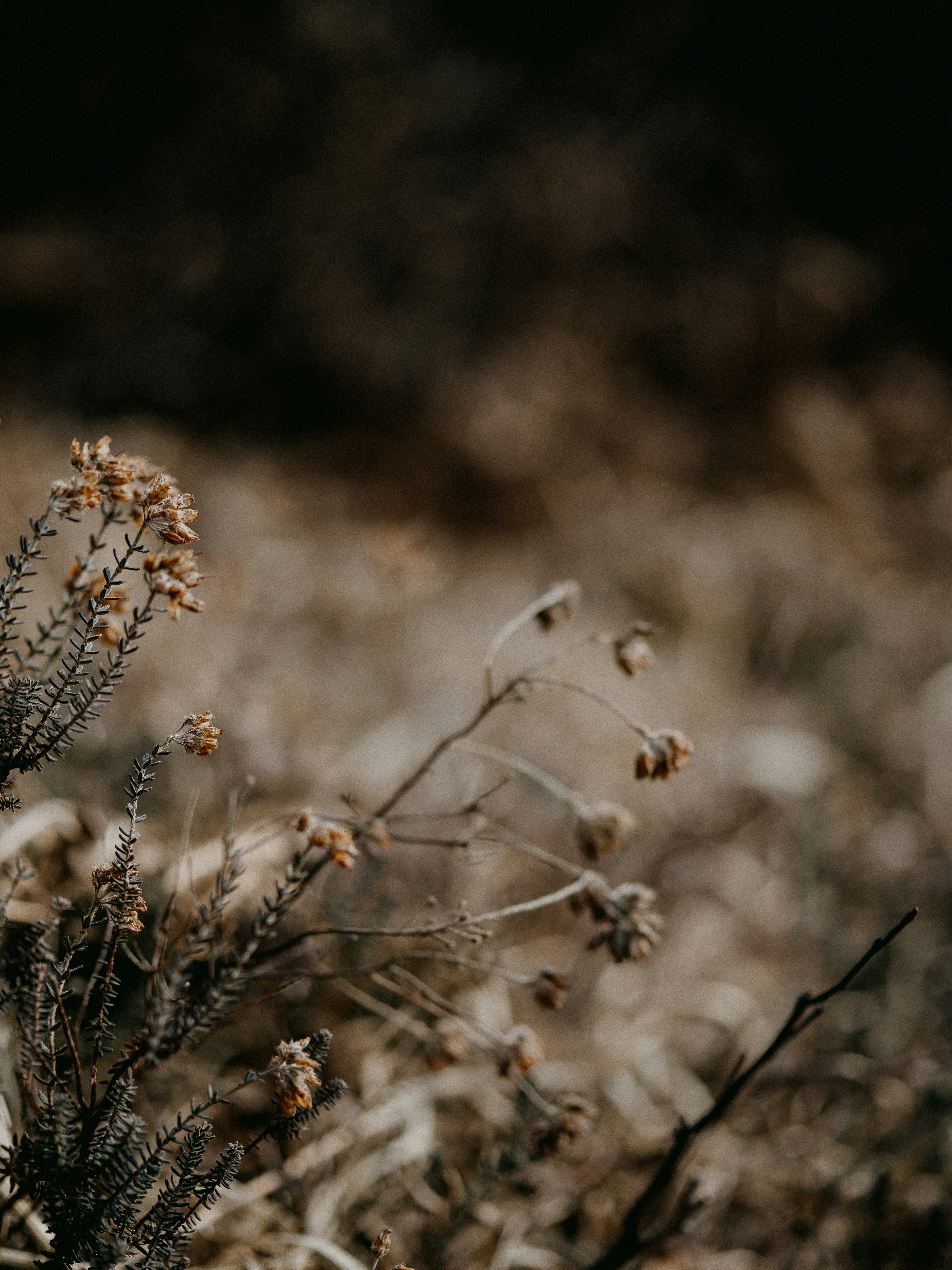 Photo by anniespratt