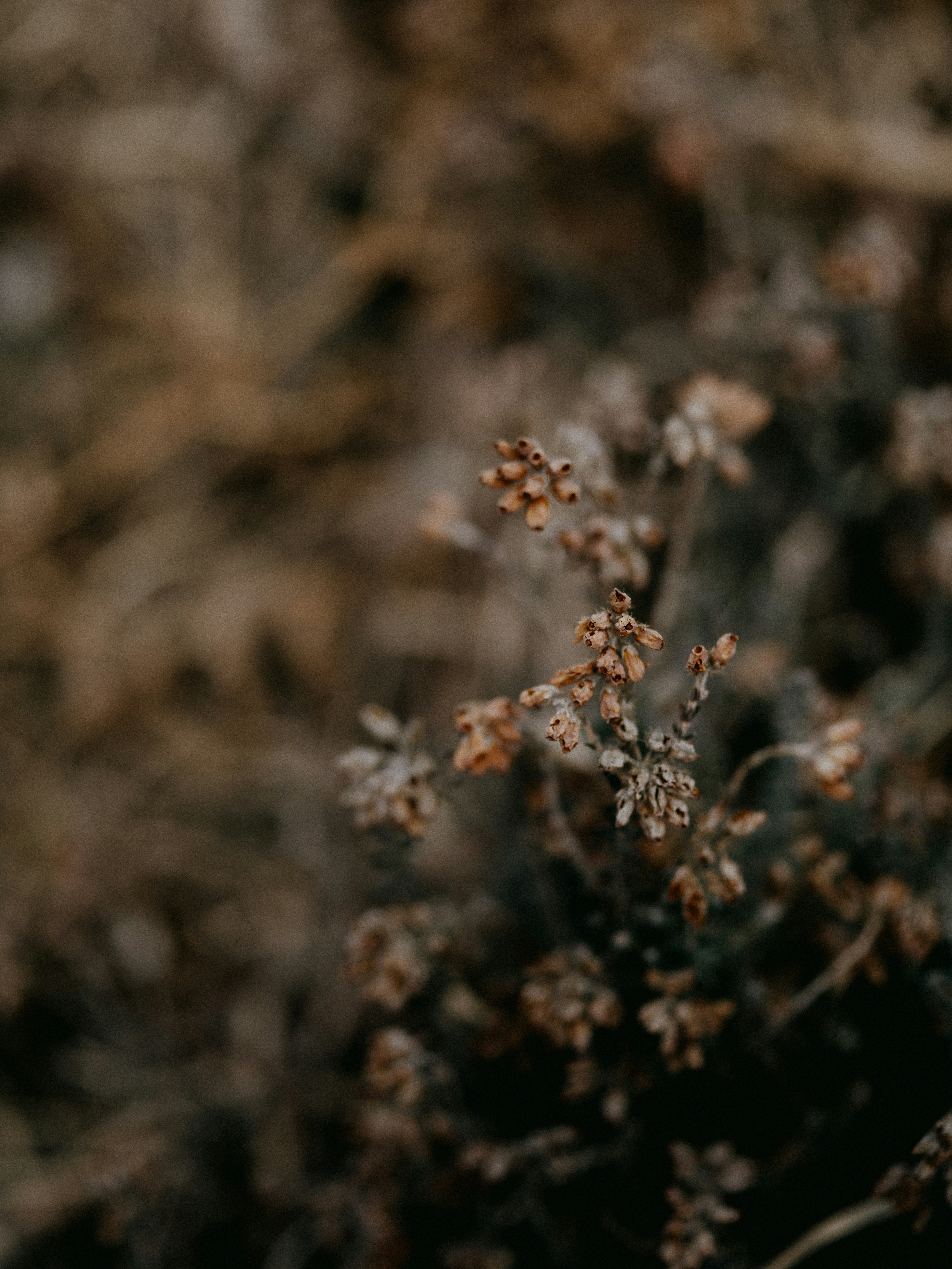 Photo by anniespratt