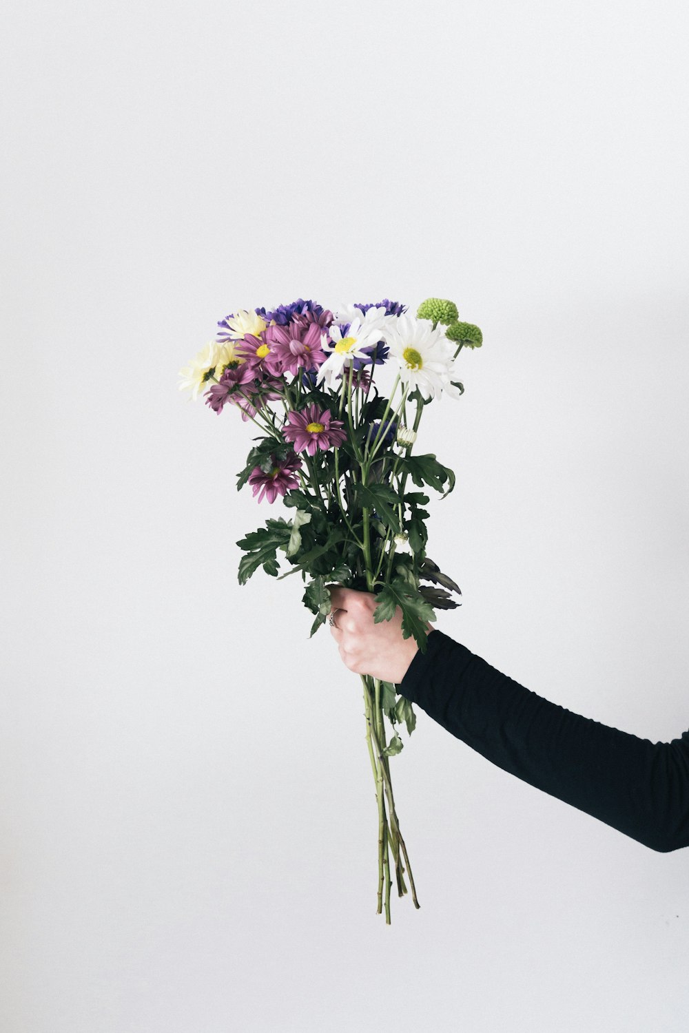 purple and white flowers in persons hand