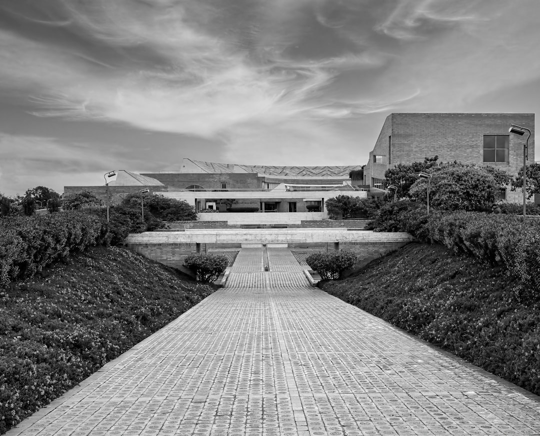 grayscale photo of a pathway in the middle of a garden