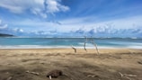 A serene beach scene with soap products displayed on weathered wood.