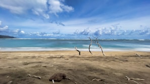 A serene beach scene with soap bars placed on driftwood.