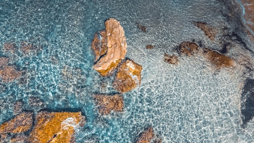 A collage of before and after images of a cleaned seabed.