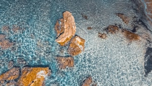 The image displays a clear, shallow ocean with visible rocks scattered throughout. Sunlight creates intricate patterns on the sandy seabed, highlighting the turquoise and aquamarine colors of the water.