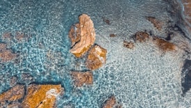 The image displays a clear, shallow ocean with visible rocks scattered throughout. Sunlight creates intricate patterns on the sandy seabed, highlighting the turquoise and aquamarine colors of the water.