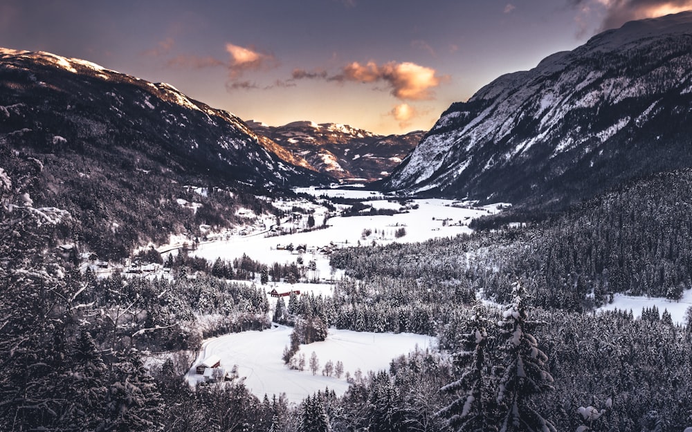 snow covered mountain during daytime